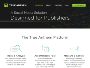 Copy for True Anthem's solution page.